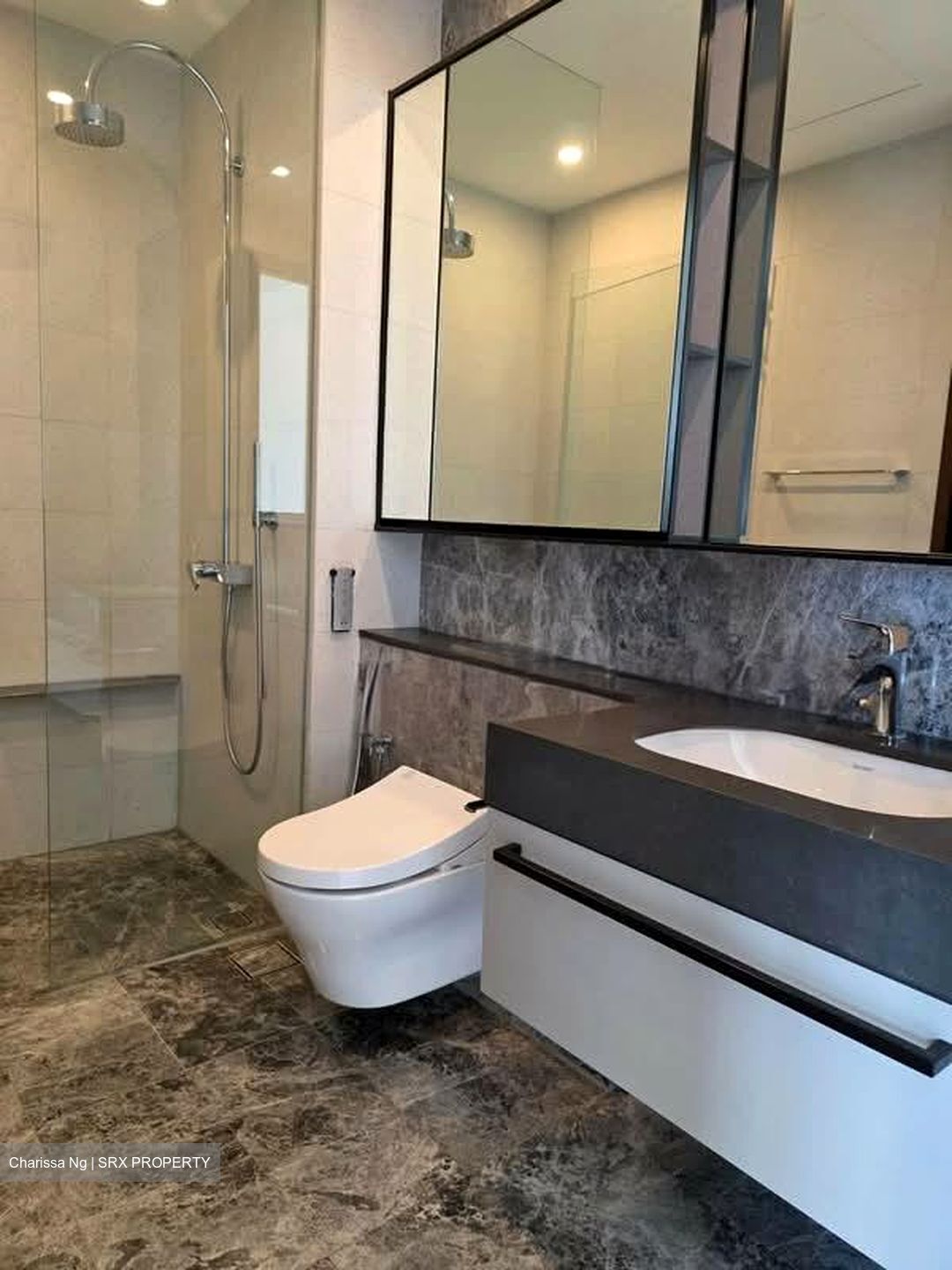 Parksuites (D10), Apartment #552394061